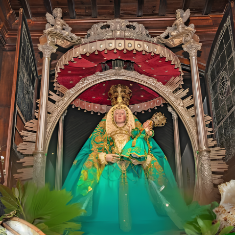 bajada_la_rama_fiesta_marias_1