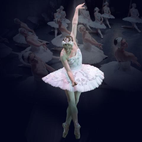 el_lago_de_los_cisnes.gc