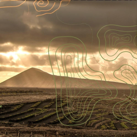 festival_senderismo_tinajo