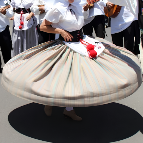 romeria-de-uga_1
