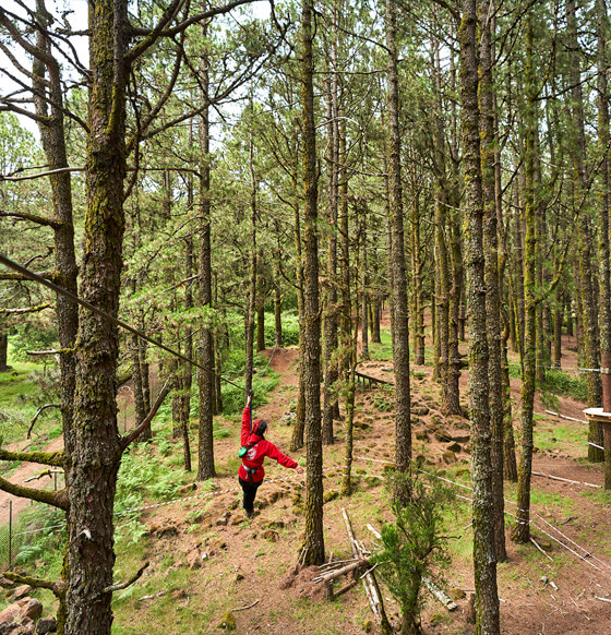 Forestal Park - listado