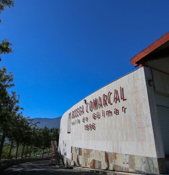 Bodegas Comarcal Valle de Güimar - listado