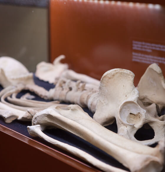 Museo arqueológico de  Betancuria