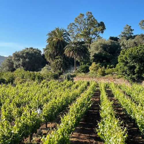Finca Escudero