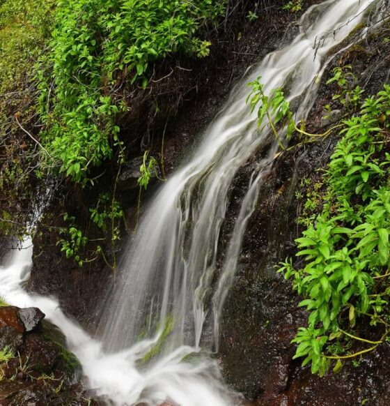 Parque Natural de Las Nieves