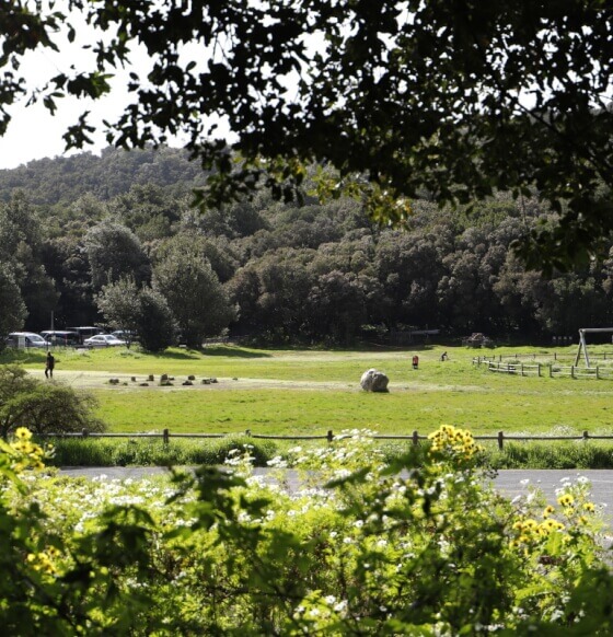 Zona recreativa Laguna Grande