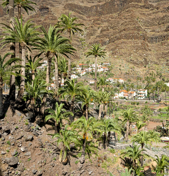 Sendero Cercado-Valle Gran Rey