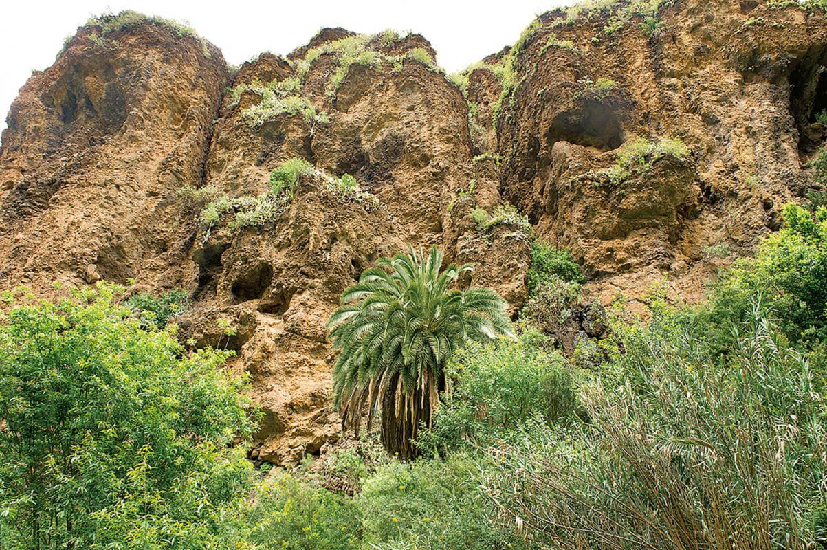 Gran Canaria. Barranco de Azuaje