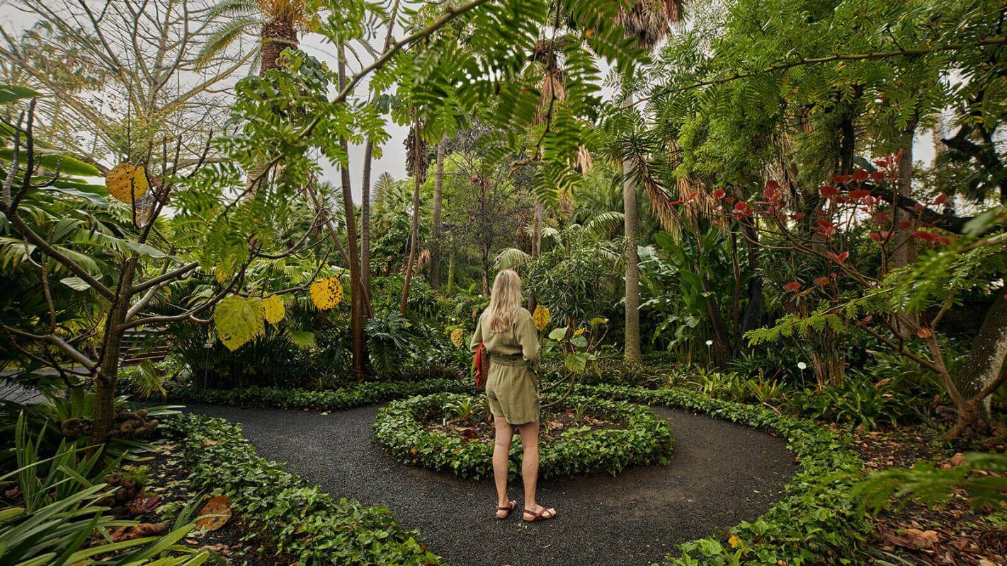 Jardín de Aclimatación de La Orotava (Tenerife)