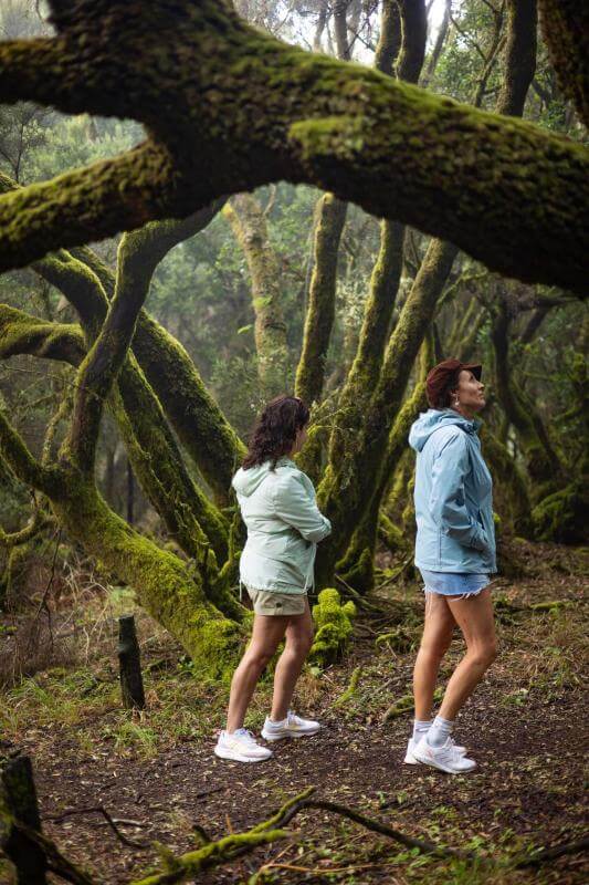 Sendero de La Llanía. El Hierro.