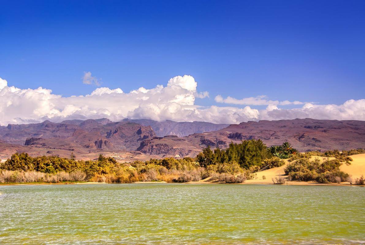 Excursión a la playa de Maspalomas, al sur de la isla - galeria3