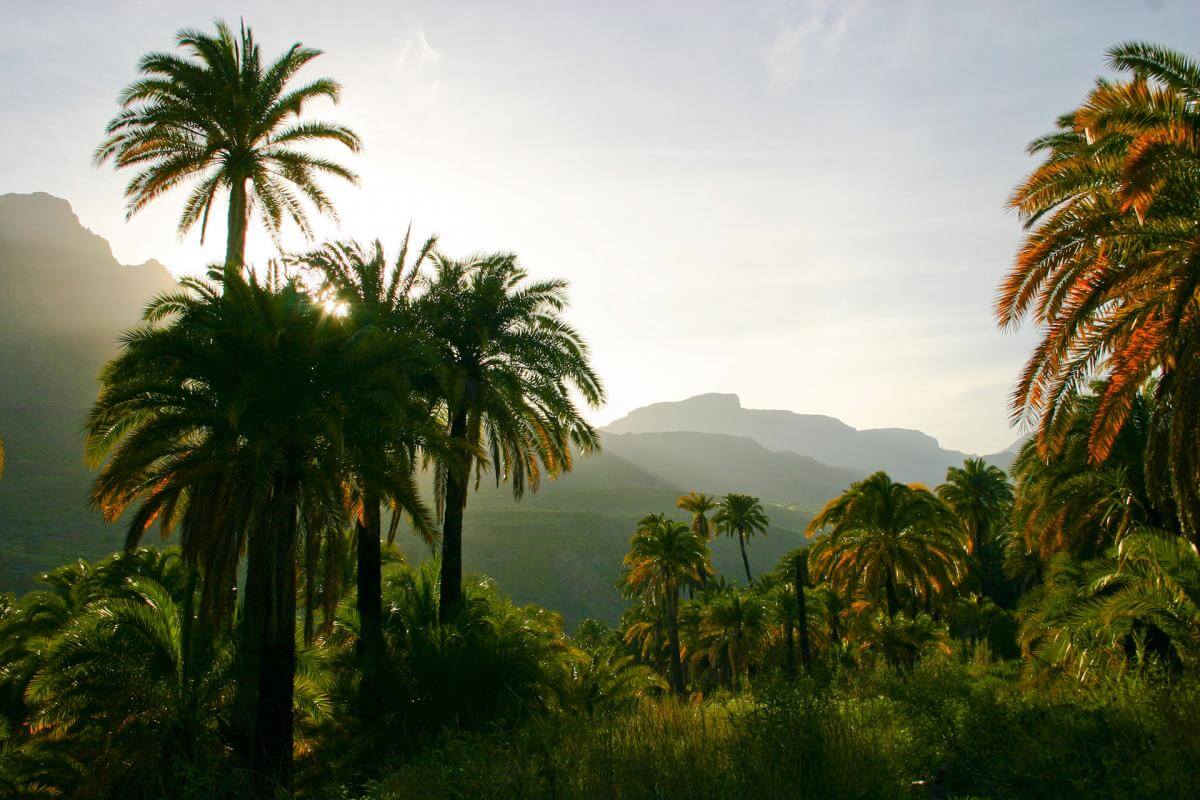 Mirador de La Sorrueda