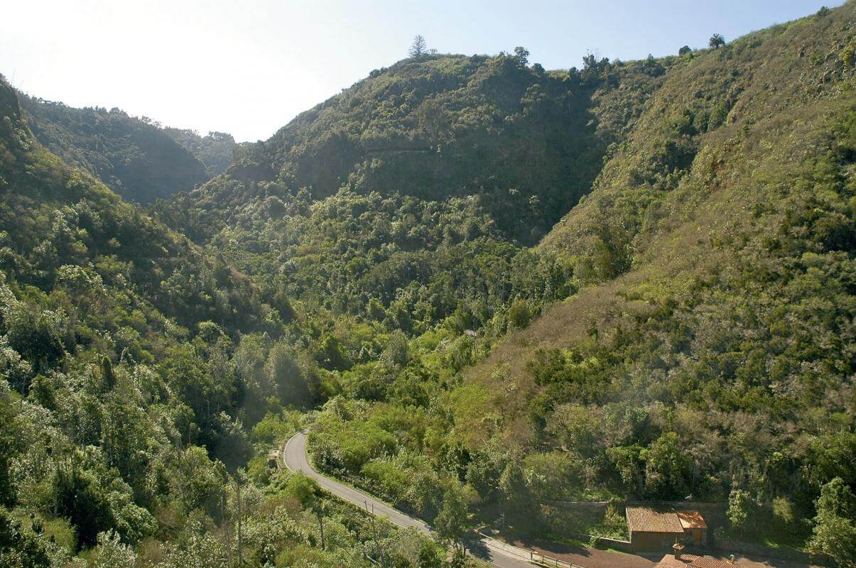 Ruta en coche por el noroeste de Gran Canaria  - galeria2