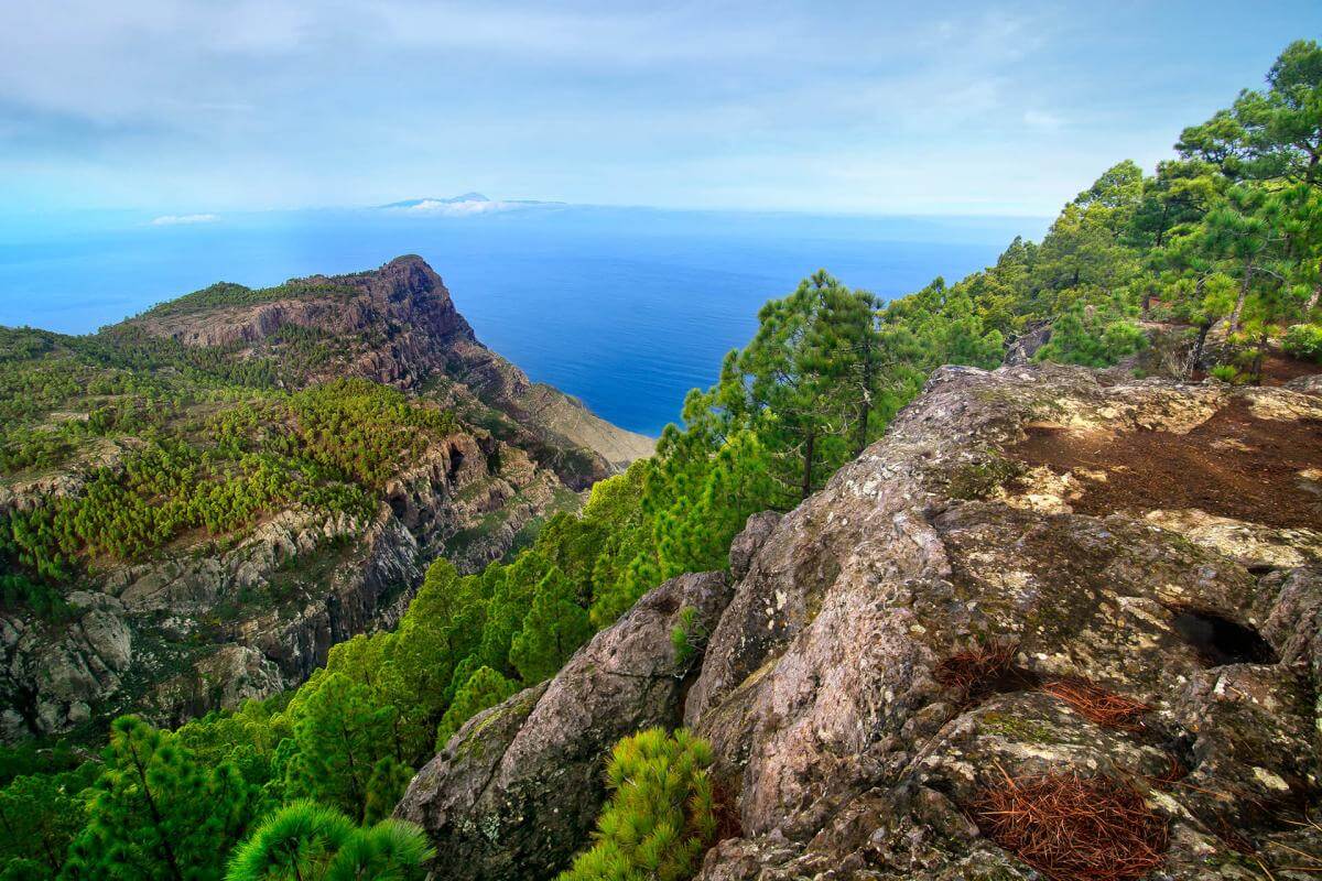 Parque Natural de Tamadaba, en Gran Canaria