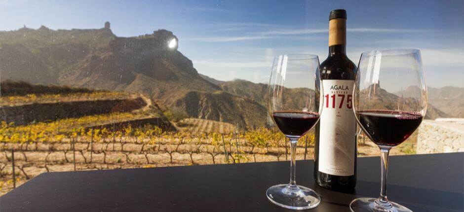 Bodega Bentayga i Gran Canaria