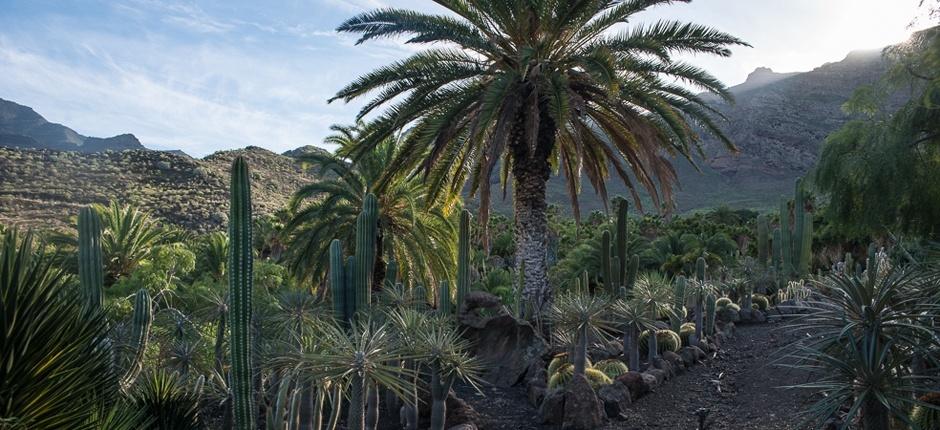 Cactualdea Park + museer og turistsentre på Gran Canaria 