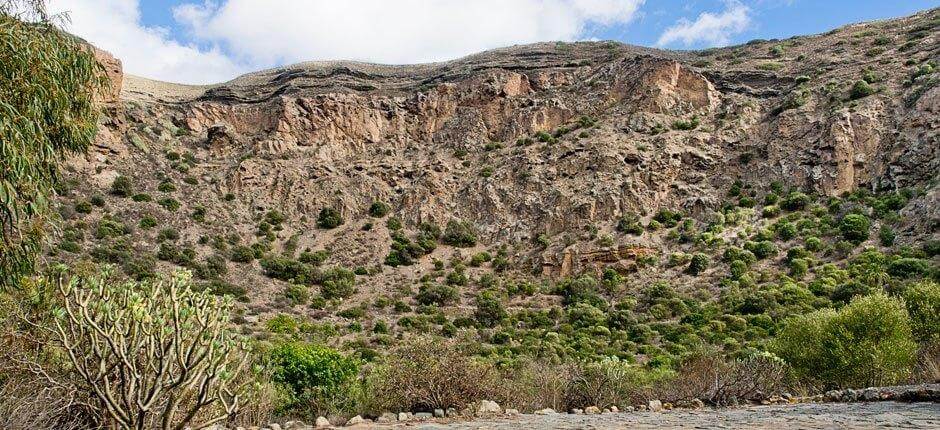 Caldera de Bandama + stier på Gran Canaria  