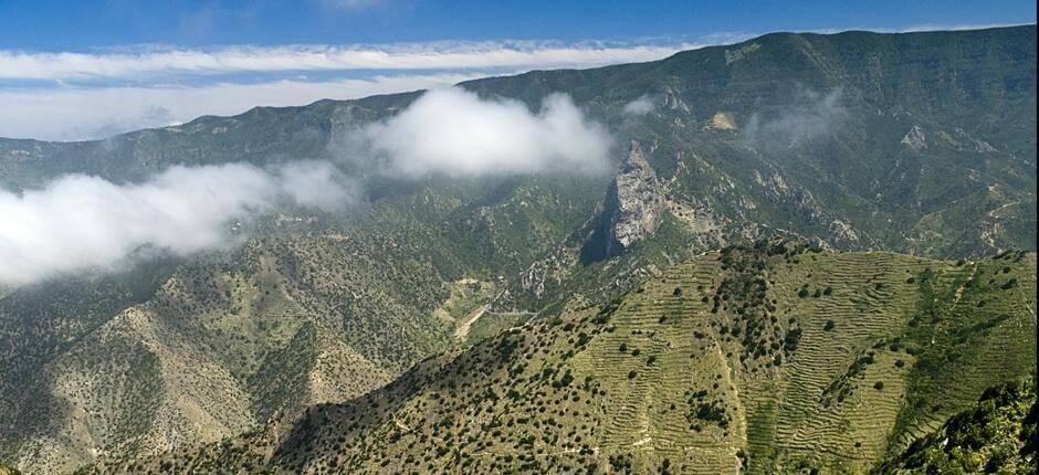 Rundtur i Vallehermoso + stier på La Gomera