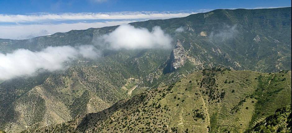 Rundtur i Vallehermoso + stier på La Gomera  