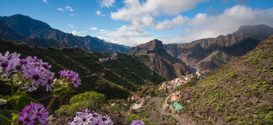 El Carrizal de Tejeda, Gran Canarias landsbyer