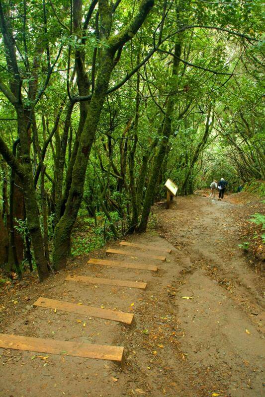 Sendero de Los Sentidos