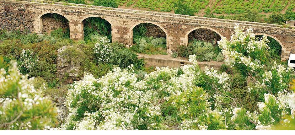 Jardín Botánico Viera y Clavijo – Museer og turistsentre på Gran Canaria