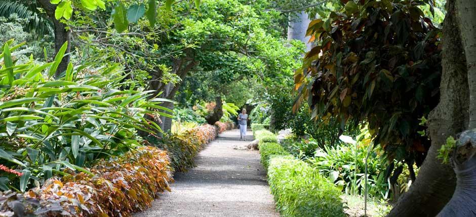 Orotavas akklimatasjonshage – Museer og turistsentre på Tenerife