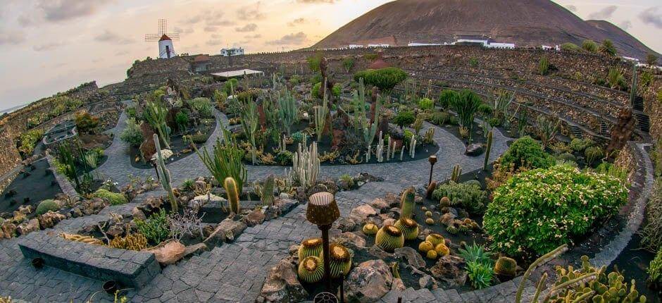 Kaktushagen – Museer og turistsentre på Lanzarote