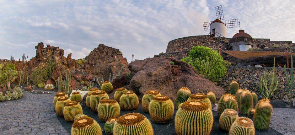 Kaktushagen – Museer og turistsentre på Lanzarote