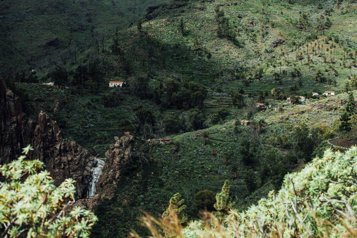 Reserva Natural Integral de Benchijigua