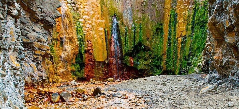 Caldera de Taburiente + stier på La Palma