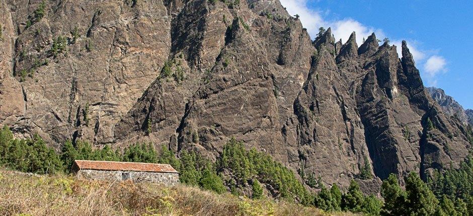 Caldera de Taburiente + stier på La Palma  