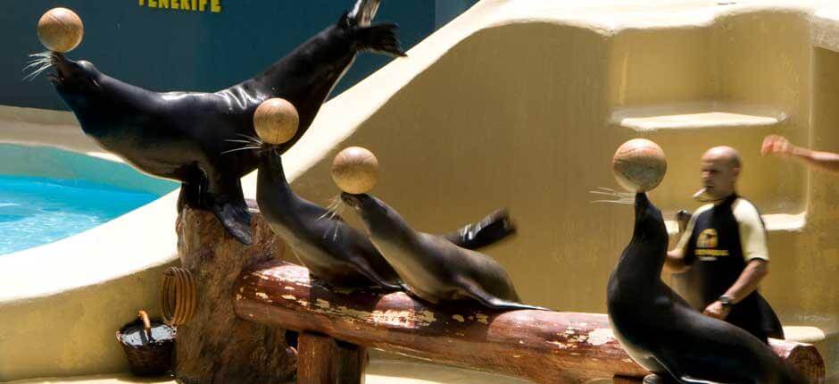 Loro Parque, Dyrehager på Tenerife