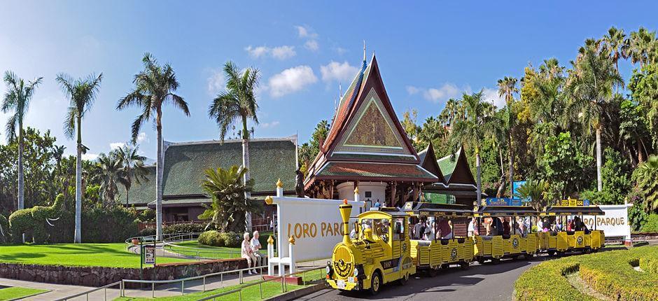 Loro Parque, Dyrehager på Tenerife  