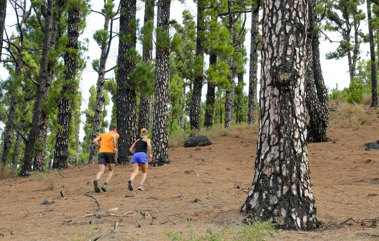 Los Canarios - Fuencaliente-Trail