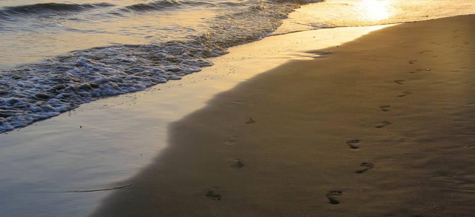 Maspalomas-stranden – Populære strender på Gran Canaria