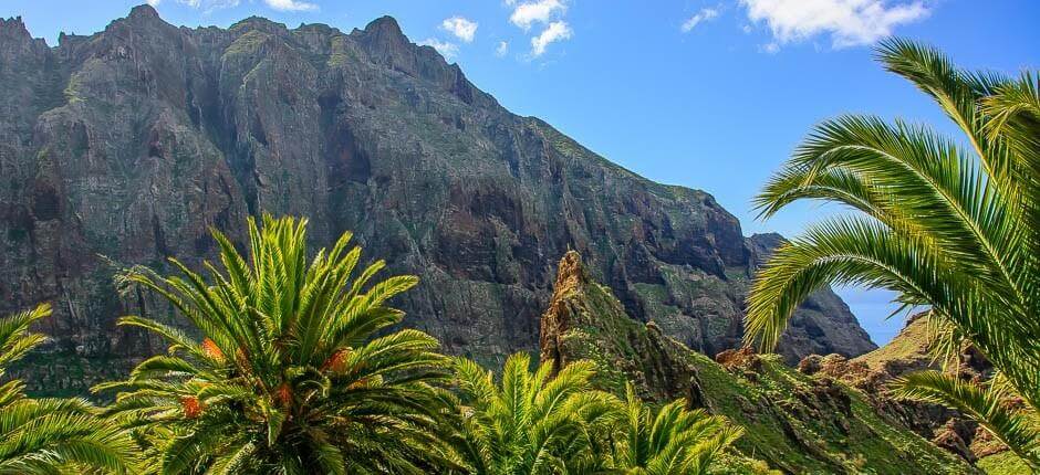 Masca + Stjernekikking på Tenerife