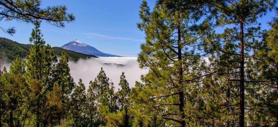 Ortuño utsiktspunkt på Tenerife