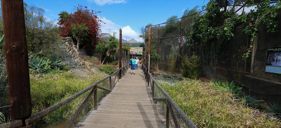 Monkey Park Tenerife, Dyrehager på Tenerife 