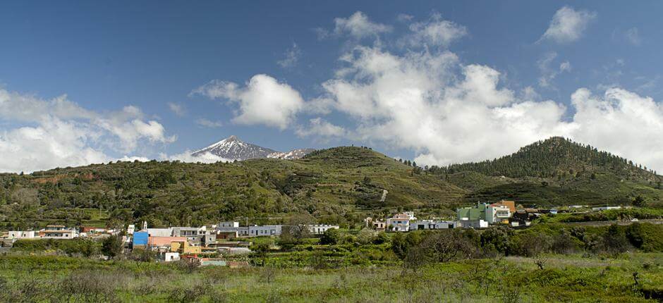 Monte del Agua + stier på Tenerife  