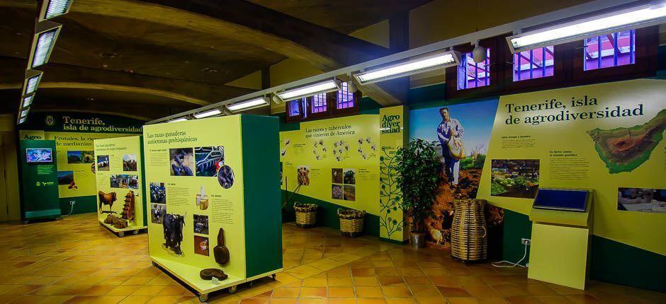 Casa del Vino y la Miel – Museer og turistsentre på Tenerife