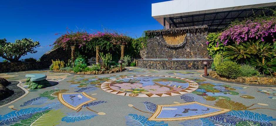 Museo del Vino på La Palma + Vinprodusenter på La Palma