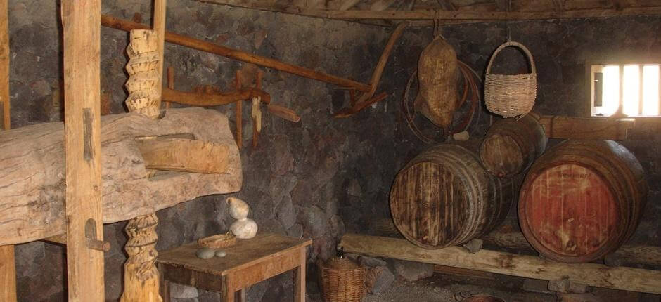 Museo del Vino på La Palma + Vinprodusenter på La Palma