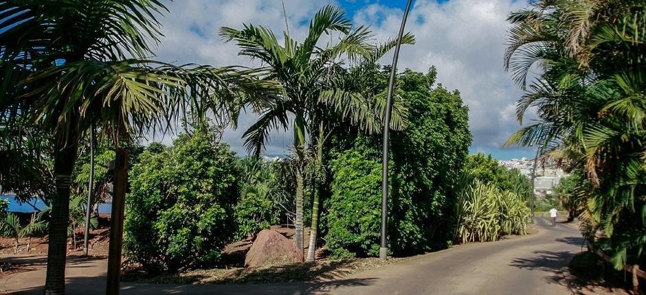 Museer og turistsentre – Museer og turistsentre på Tenerife