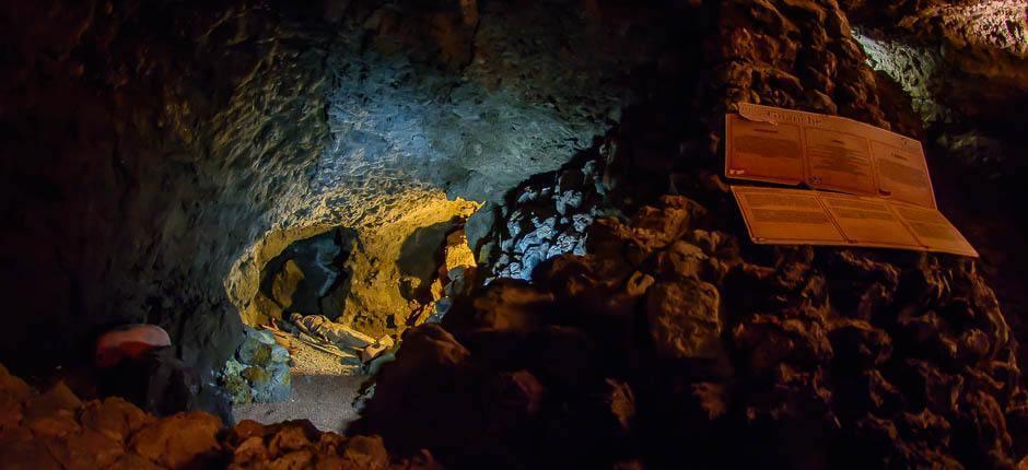 Parque del Drago Milenario – Museer og turistsentre på Tenerife