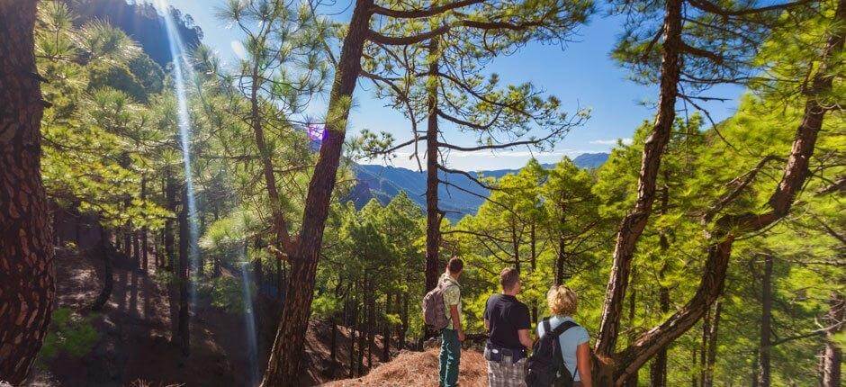 Parque Nacional de la Caldera de Taburiente, en La Palma