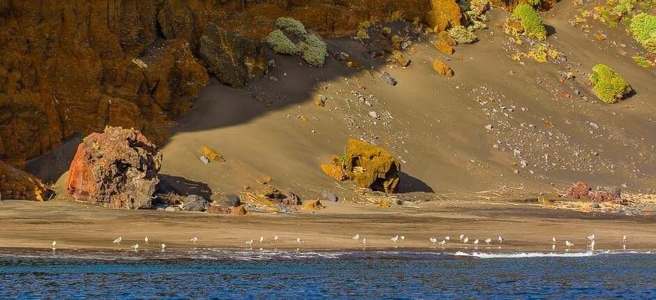 Antequera-stranden + Urørte strender