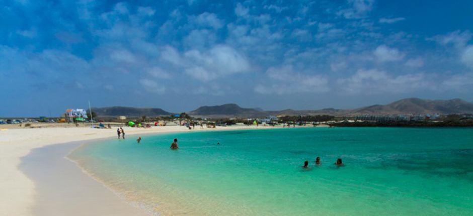 La Concha-stranden – Populære strender på Fuerteventura