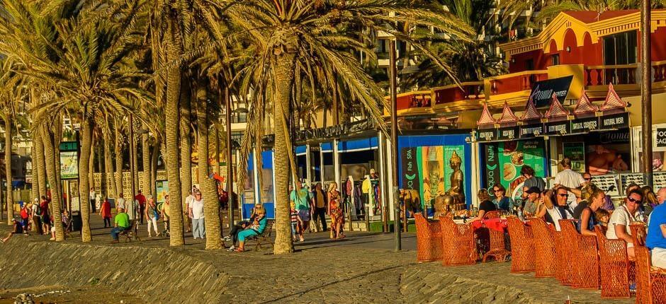 Playa de las Américas – Turistmål på Tenerife