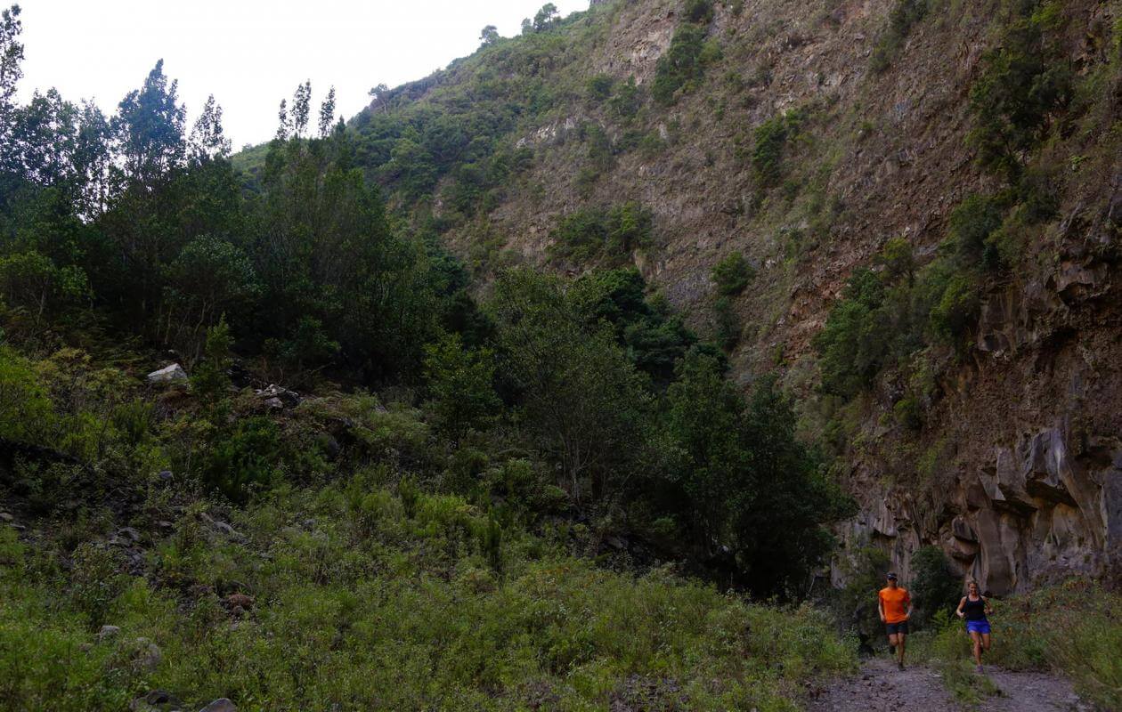 Roque Faro - Villa de Garafía-Trail